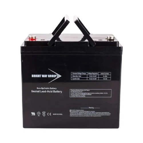 Bright Way Group BW12550-NB 55Ah 12VDC AGM Sealed Lead Acid Battery
