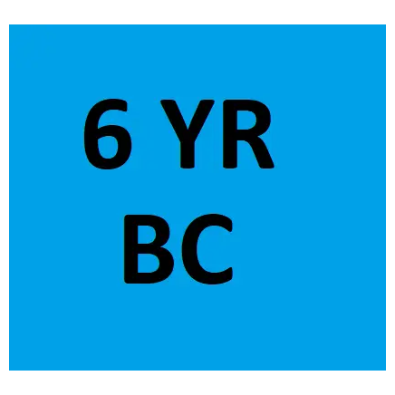 [SM-2010] 10 Lb BC 6 Yr Maintenance on Fire Extinguisher