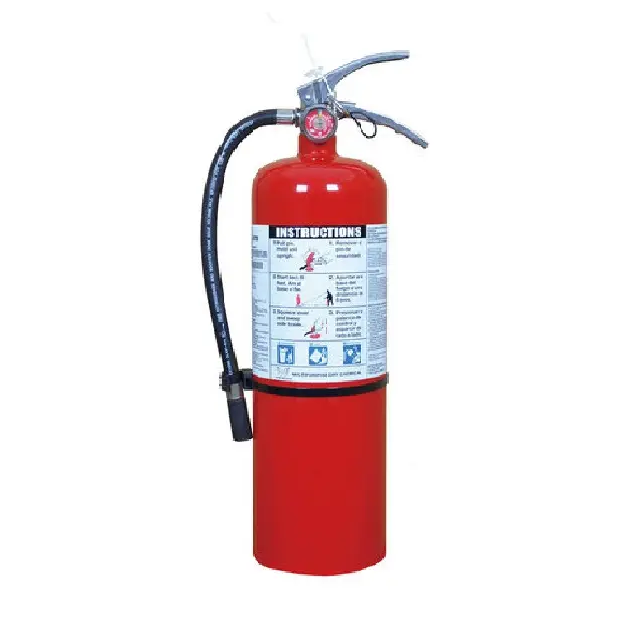 Victory 10 lbs. ABC Fire Extinguisher